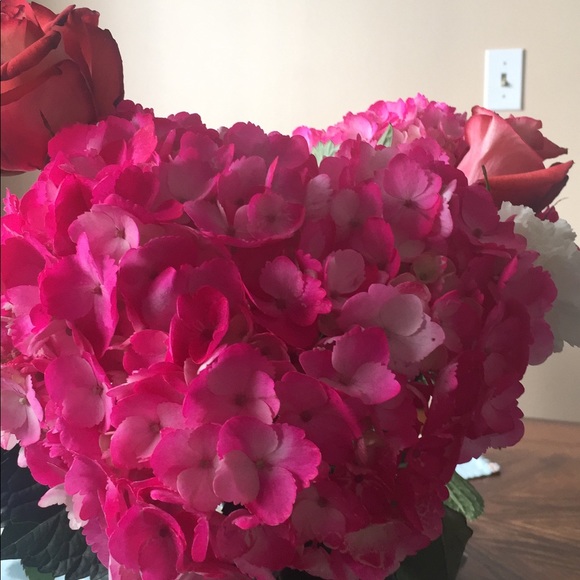 Meet your Posher, Wifak - Picture 2 of 2